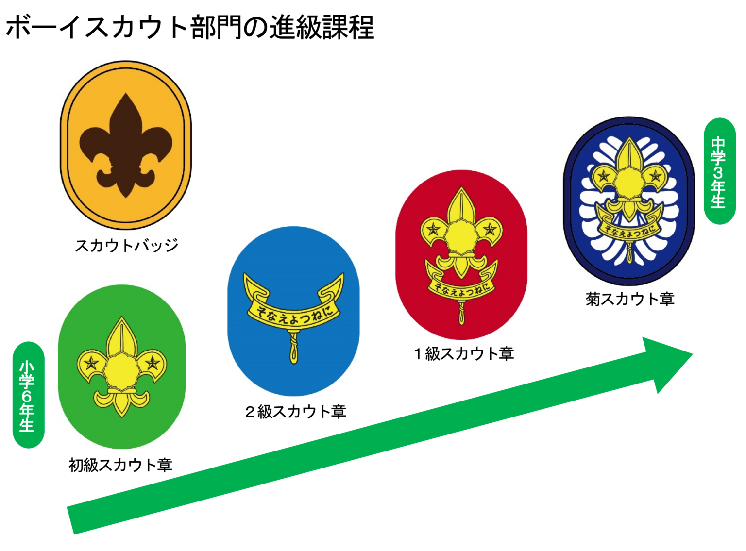 ボーイスカウト部門・ベンチャースカウト部門の進級課程・課目の改定 - ボーイスカウト日本連盟